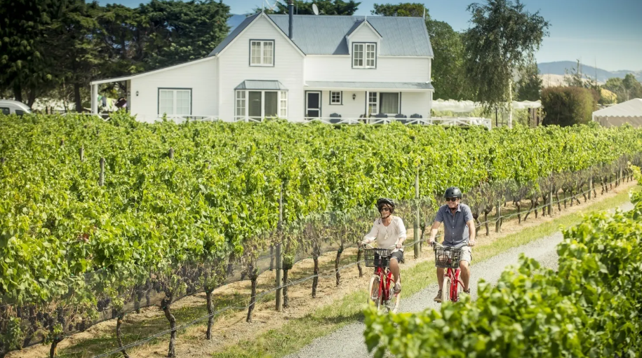 Vineyards